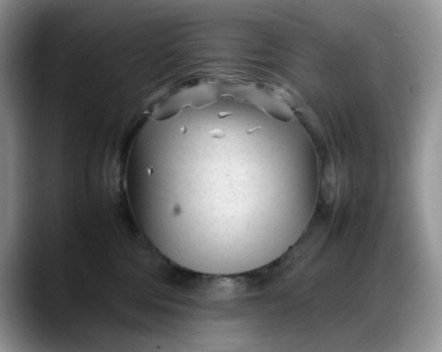 X0000088170330200705291937