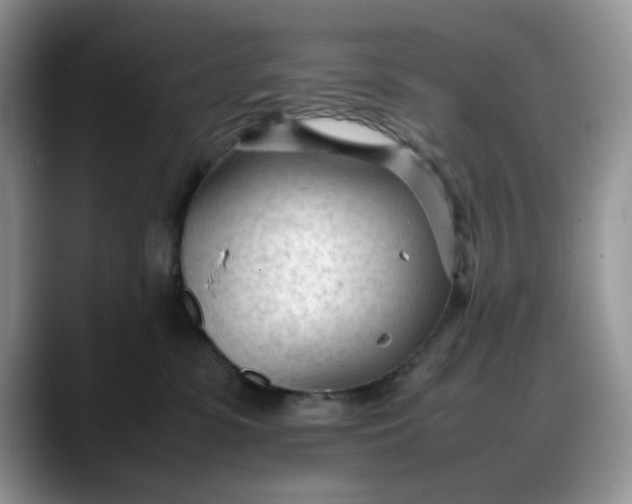 X0000088170331200705291937