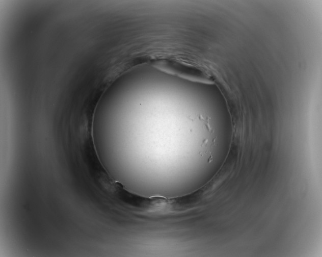 X0000088170335200705291936