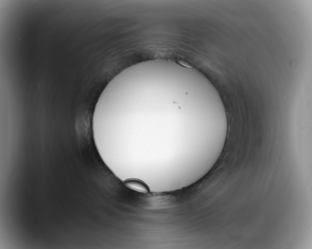 X0000088170336200705291936