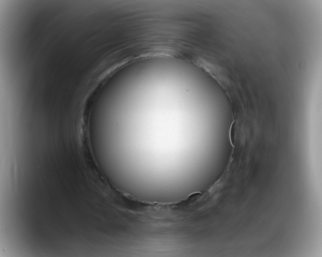 X0000088170338200705291936