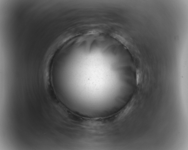 X0000088170339200705291936