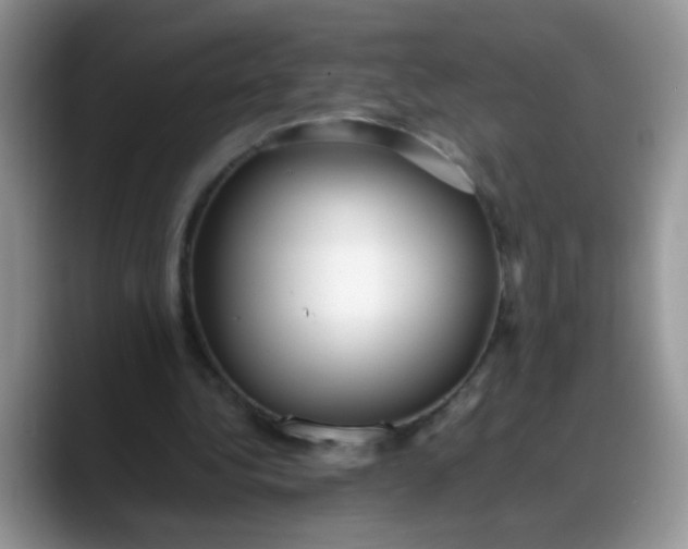 X0000088170340200705291936