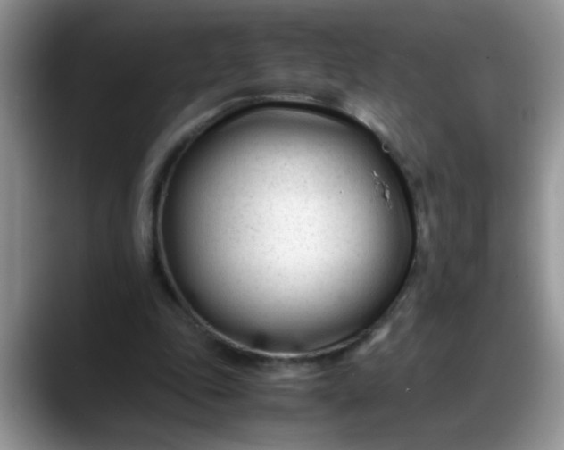 X0000088170343200705291936