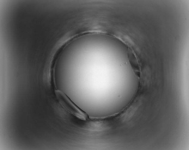 X0000088170344200705291936