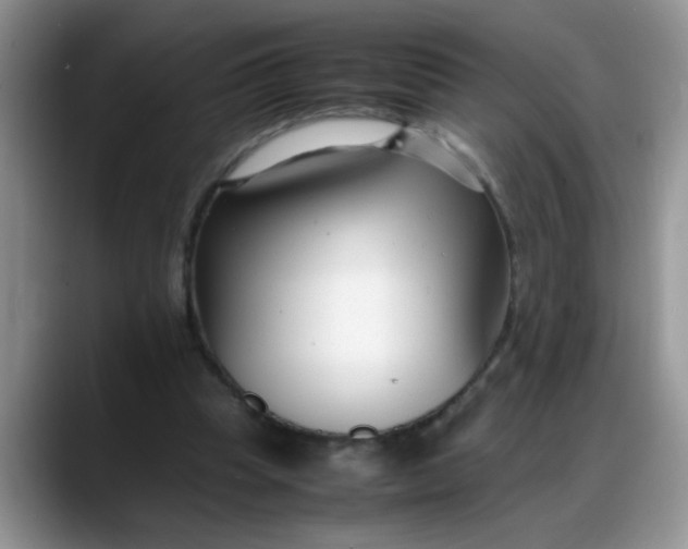 X0000088170345200705291936