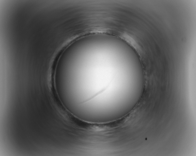 X0000088170346200705291936