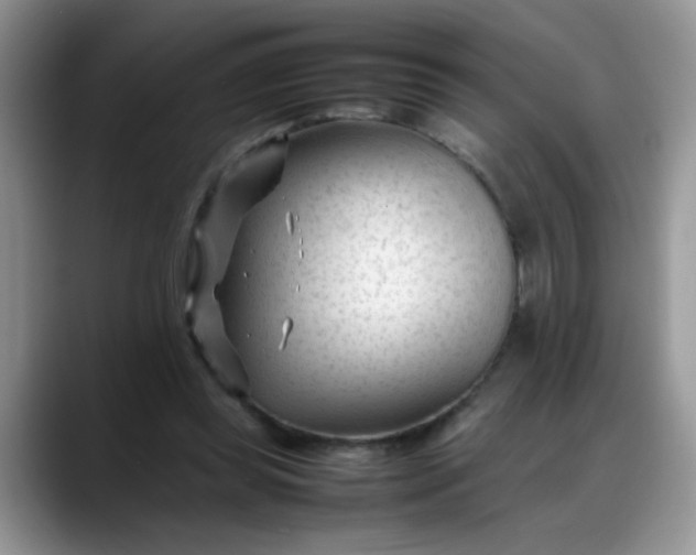 X0000088170349200705291936