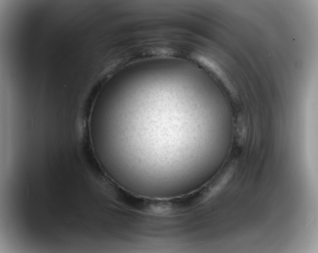 X0000088170355200705291936