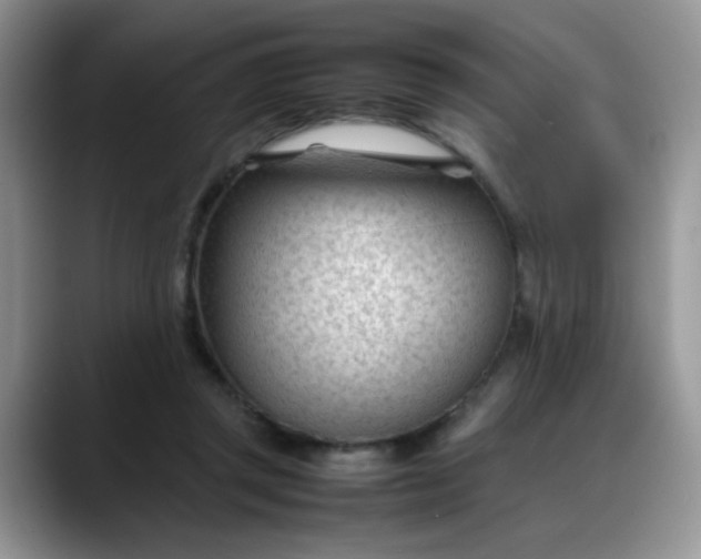 X0000088170357200705291936