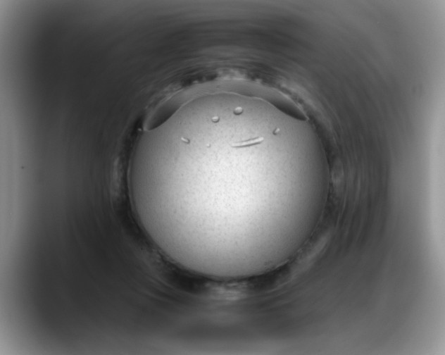 X0000088170359200705291936