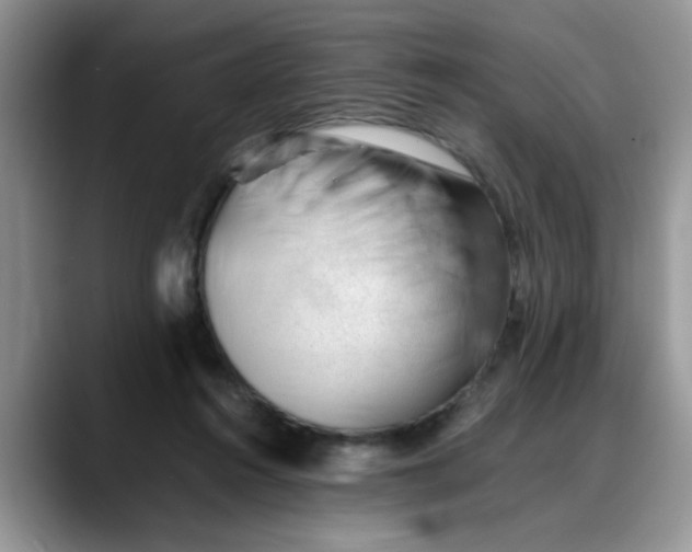 X0000088170360200705291936