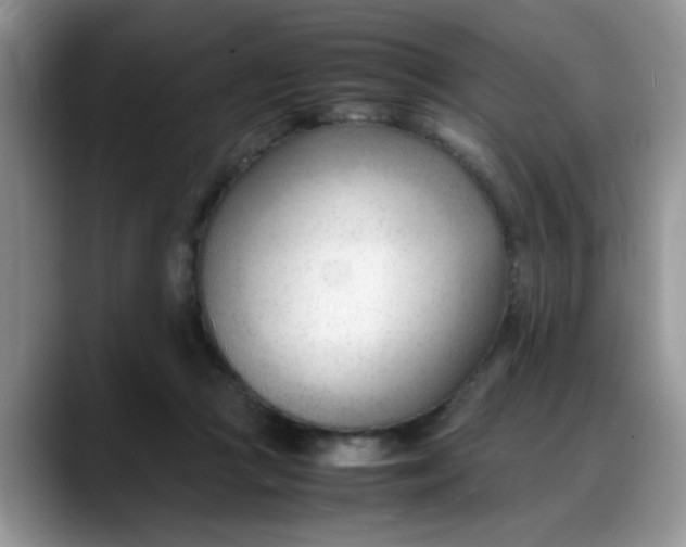 X0000088170361200705291936