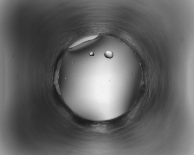 X0000088170362200705291936