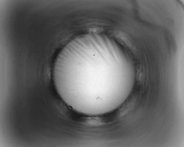 X0000088170363200705291936