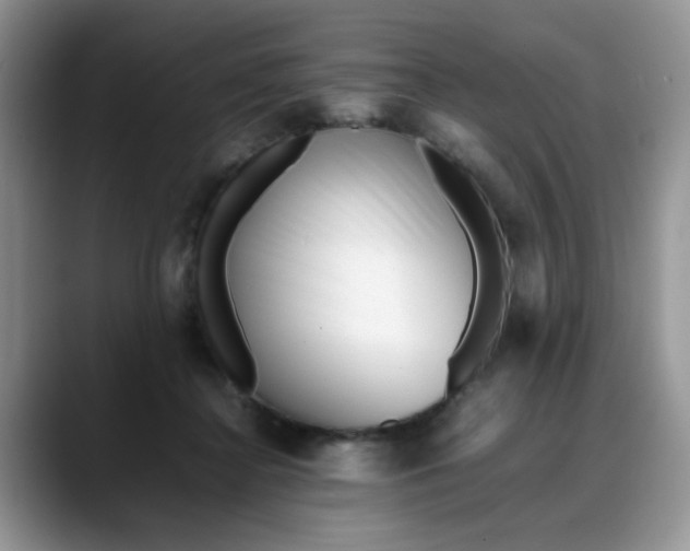 X0000088170364200705291936