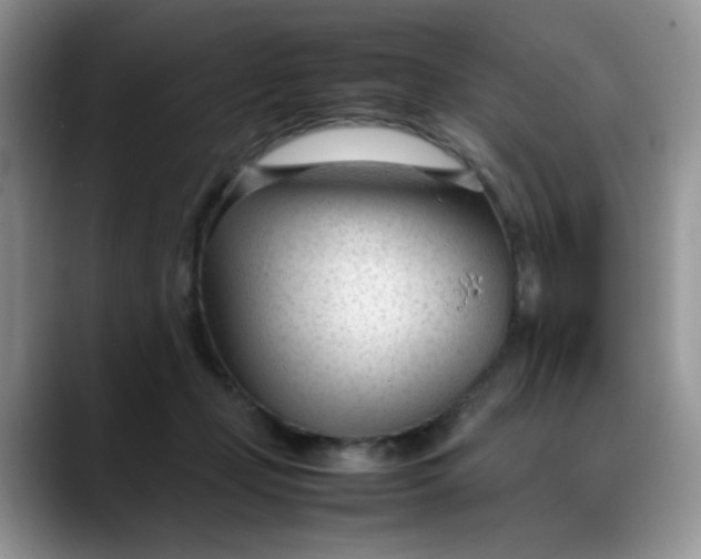 X0000088170365200705291936