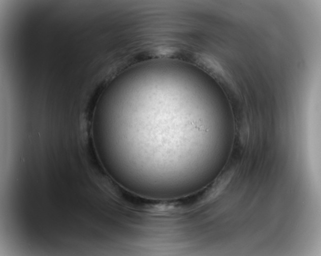 X0000088170366200705291936