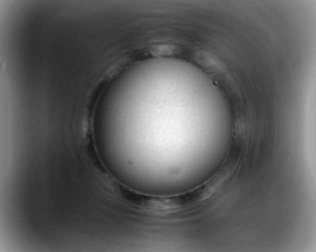 X0000088170367200705291936