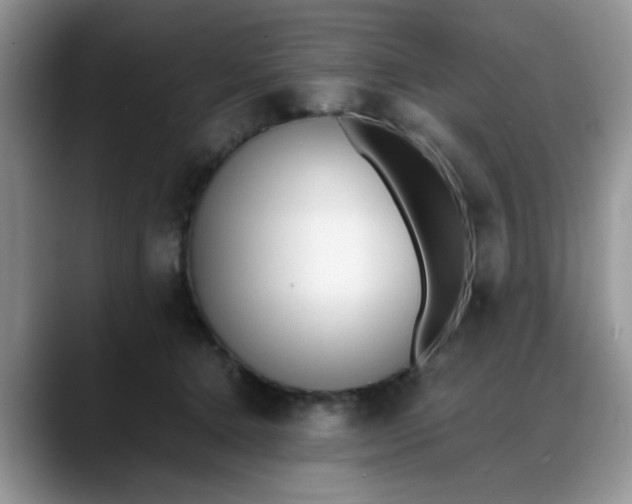 X0000088170368200705291936