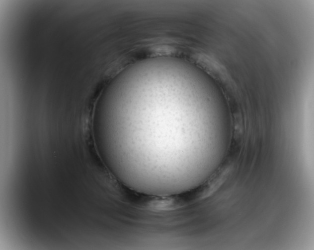 X0000088170369200705291936