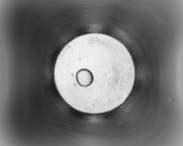 X0000088170370200705291936