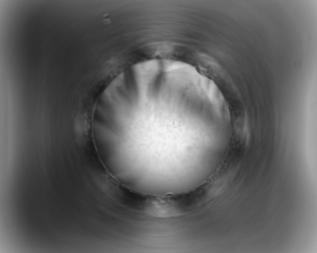 X0000088170372200705291936