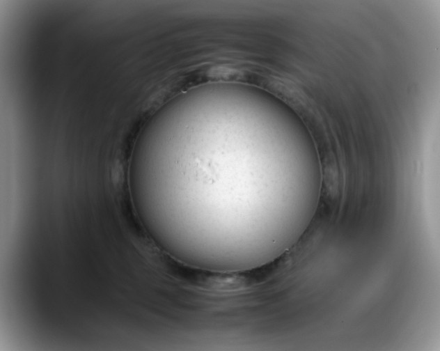 X0000088170375200705291936