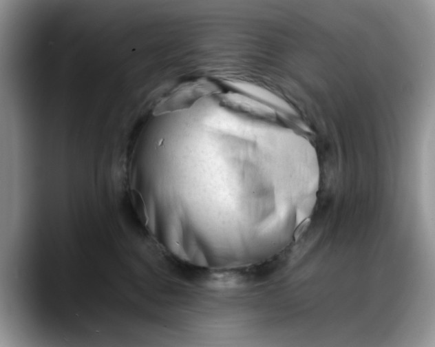 X0000088170376200705291936