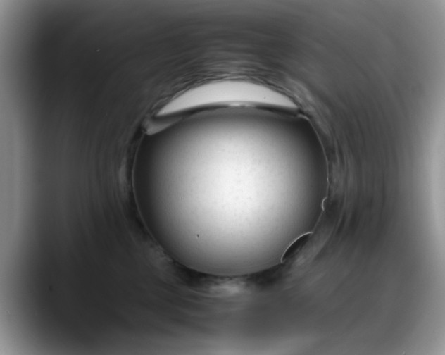 X0000088170377200705291936