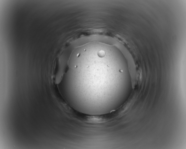 X0000088170380200705291936