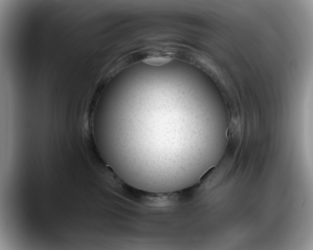 X0000088170381200705291936