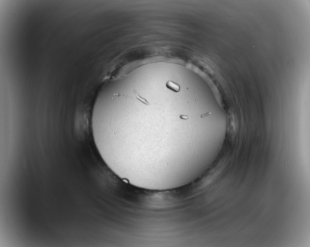 X0000088170382200705291936