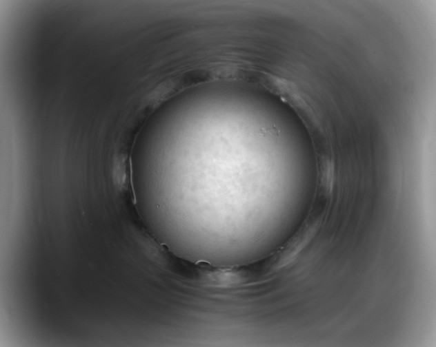 X0000088170383200705291936