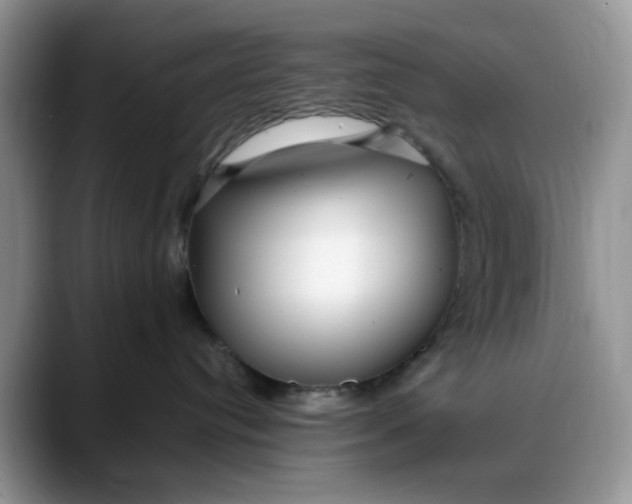 X0000088170384200705291936