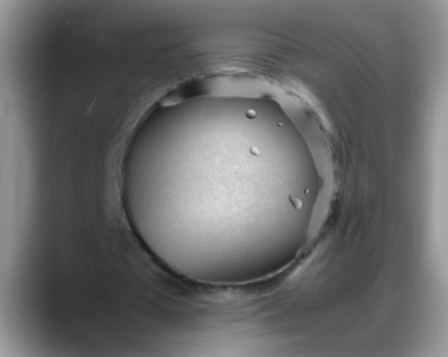 X0000088170385200705291936