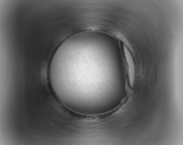 X0000088170386200705291936