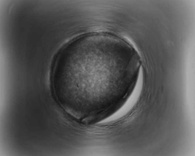 X0000088170387200705291936