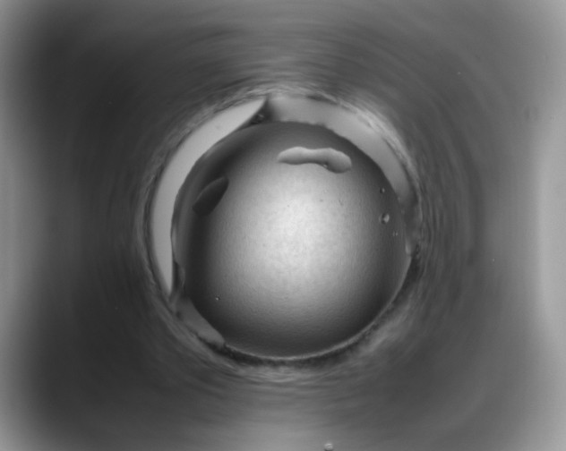 X0000088170389200705291936