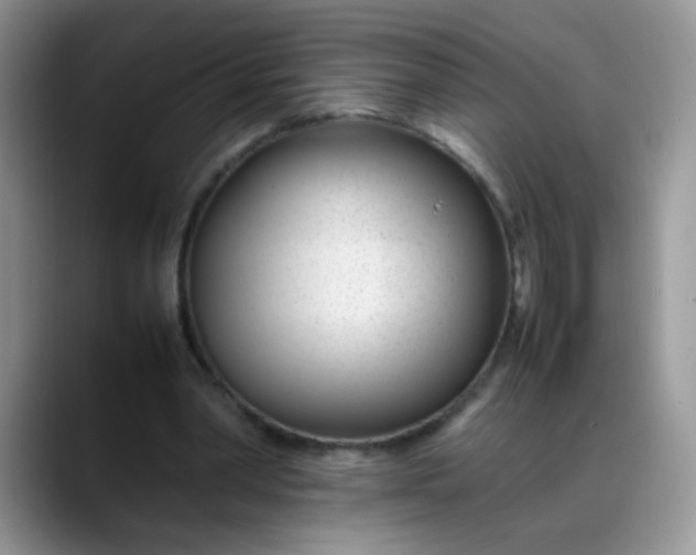 X0000088170390200705291936