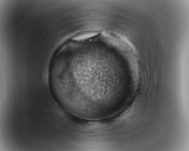 X0000088170391200705291936