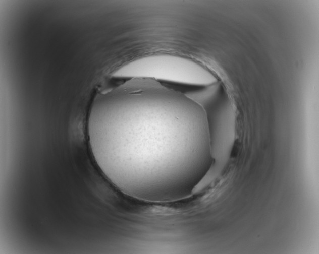 X0000088170393200705291936