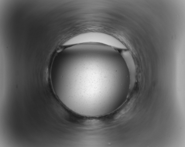 X0000088170397200705291936