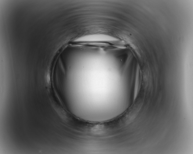 X0000088170398200705291936