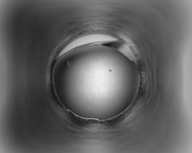 X0000088170399200705291936