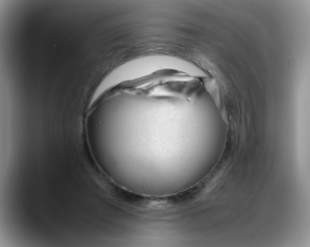 X0000088170401200705291936