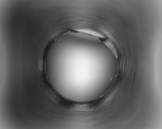 X0000088170403200705291936