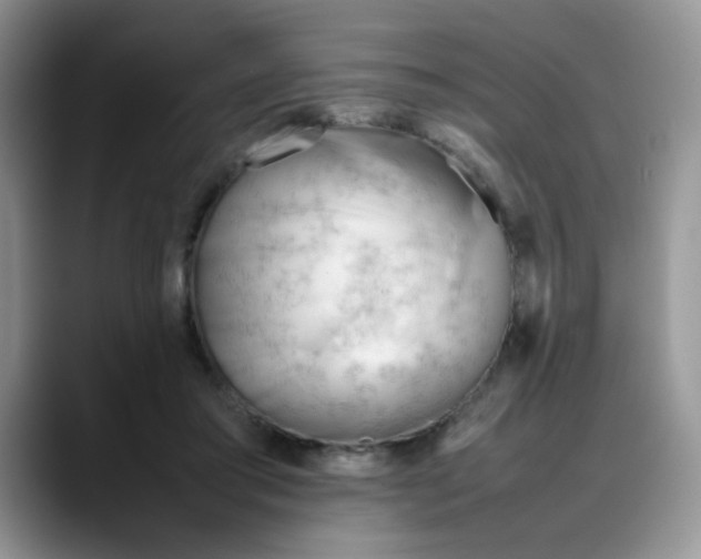 X0000088170405200705291936