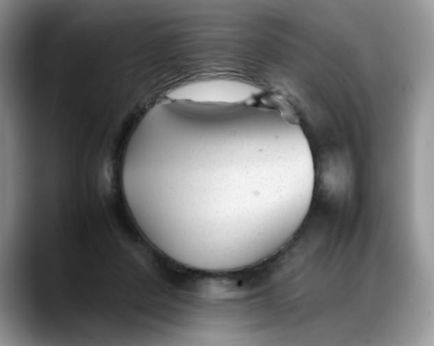 X0000088170408200705291936