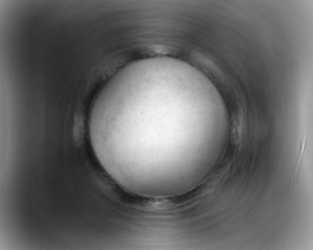 X0000088170410200705291936